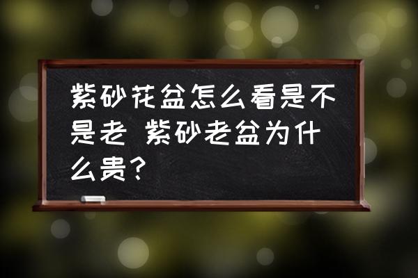 紫砂花盆怎么看是不是老 紫砂老盆為什么貴？