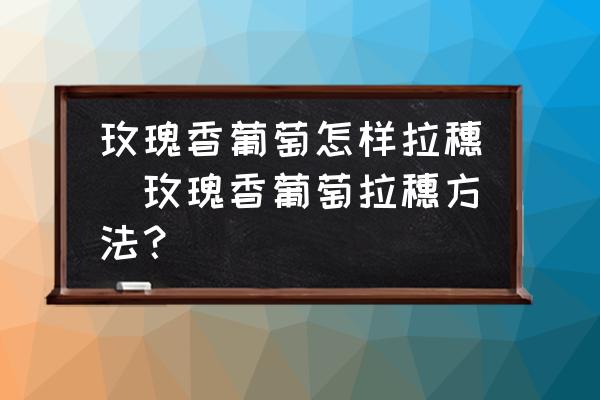 玫瑰香葡萄怎樣拉穗(玫瑰香葡萄拉穗方法？)