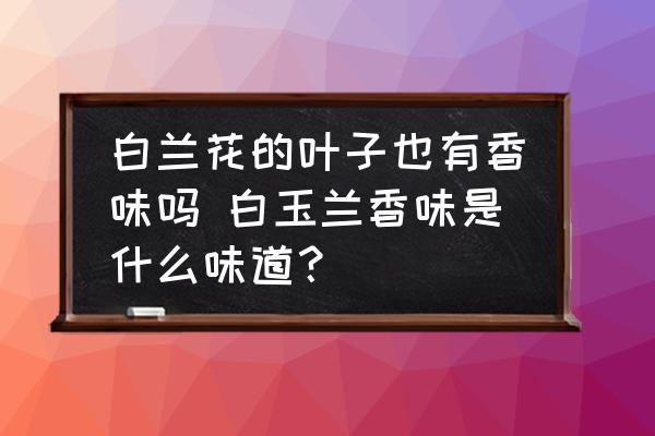 白蘭花的葉子也有香味嗎 白玉蘭香味是什么味道？