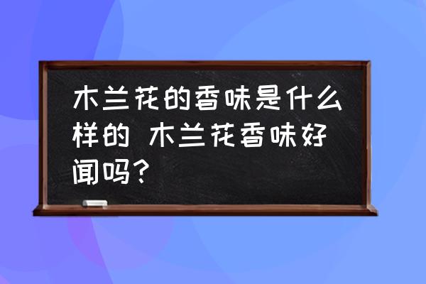 木蘭花的香味是什么樣的 木蘭花香味好聞嗎？