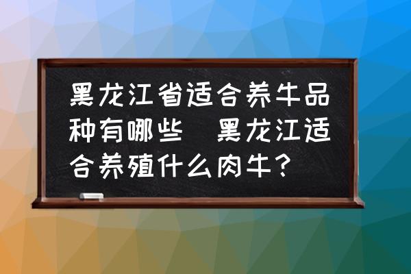 黑龍江省適合養(yǎng)牛品種有哪些(黑龍江適合養(yǎng)殖什么肉牛？)