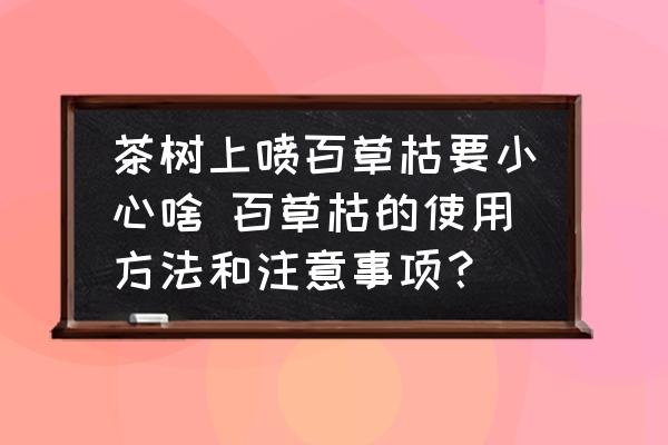 茶樹上噴百草枯要小心啥 百草枯的使用方法和注意事項？