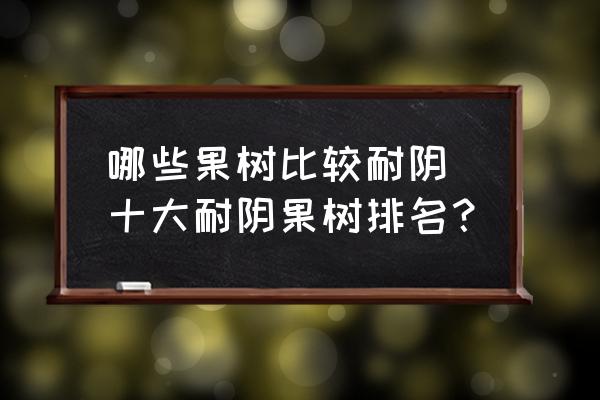哪些果樹比較耐陰 十大耐陰果樹排名？