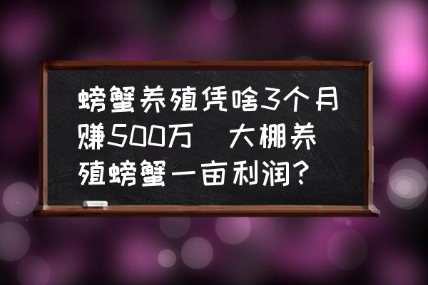 螃蟹養(yǎng)殖憑啥3個(gè)月賺500萬(大棚養(yǎng)殖螃蟹一畝利潤(rùn)？)