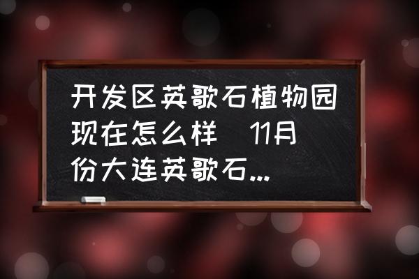 開發(fā)區(qū)英歌石植物園現(xiàn)在怎么樣(11月份大連英歌石植物園怎么樣？)