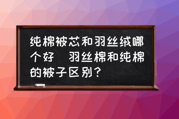 純棉被芯和羽絲絨哪個好(羽絲棉和純棉的被子區(qū)別？)