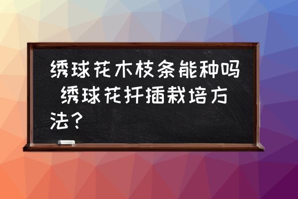 繡球花木枝條能種嗎 繡球花扦插栽培方法？