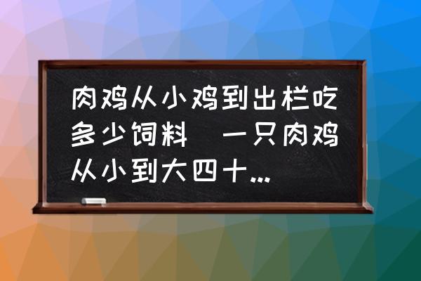 肉雞從小雞到出欄吃多少飼料(一只肉雞從小到大四十五天能吃多少飼料？)