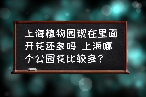上海植物園現(xiàn)在里面開花還多嗎 上海哪個公園花比較多？