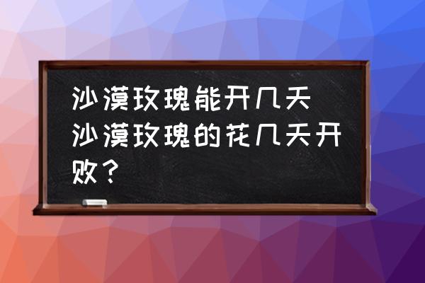 沙漠玫瑰能開幾天 沙漠玫瑰的花幾天開敗？