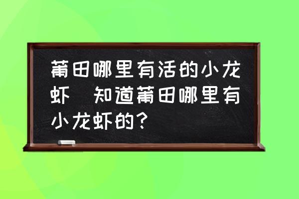 莆田哪里有活的小龍蝦(知道莆田哪里有小龍蝦的？)