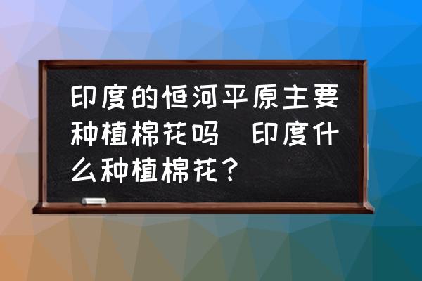 印度的恒河平原主要種植棉花嗎(印度什么種植棉花？)