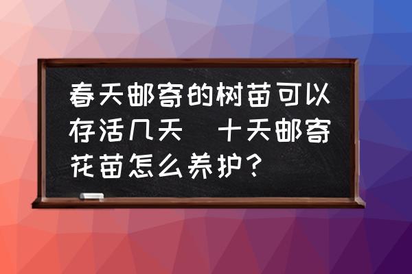 春天郵寄的樹苗可以存活幾天(十天郵寄花苗怎么養(yǎng)護？)