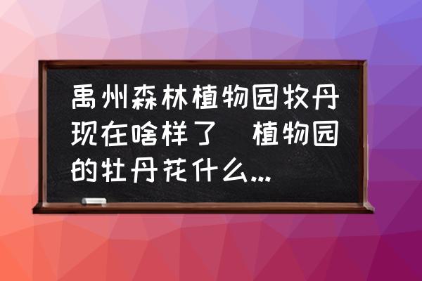禹州森林植物園牧丹現(xiàn)在啥樣了(植物園的牡丹花什么時間開花？)