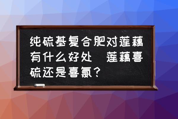 純硫基復(fù)合肥對蓮藕有什么好處(蓮藕喜硫還是喜氯？)