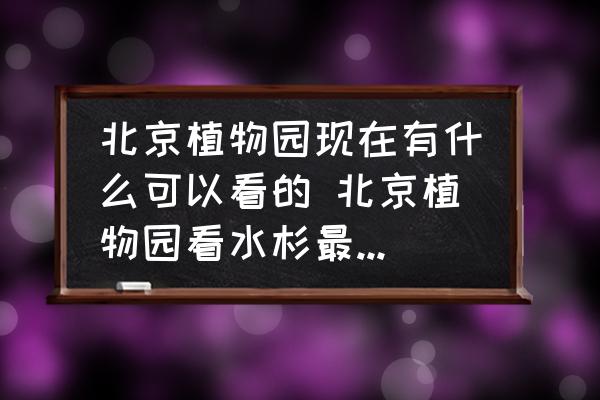北京植物園現(xiàn)在有什么可以看的 北京植物園看水杉最佳時(shí)間？