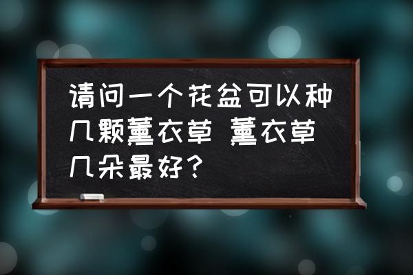 請(qǐng)問(wèn)一個(gè)花盆可以種幾顆薰衣草 薰衣草幾朵最好？