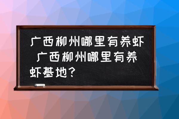 廣西柳州哪里有養(yǎng)蝦 廣西柳州哪里有養(yǎng)蝦基地？