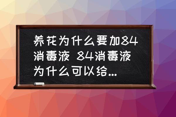 養(yǎng)花為什么要加84消毒液 84消毒液為什么可以給花保鮮？