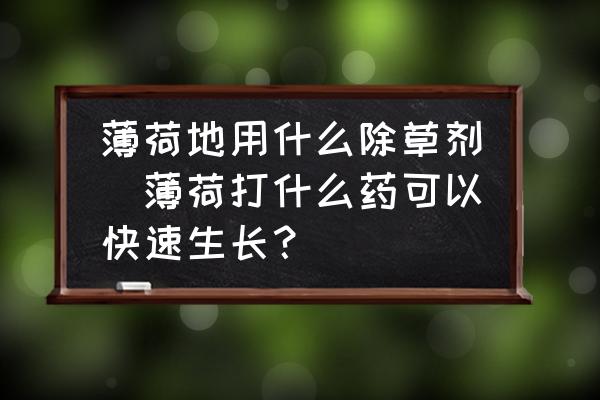 薄荷地用什么除草劑(薄荷打什么藥可以快速生長？)