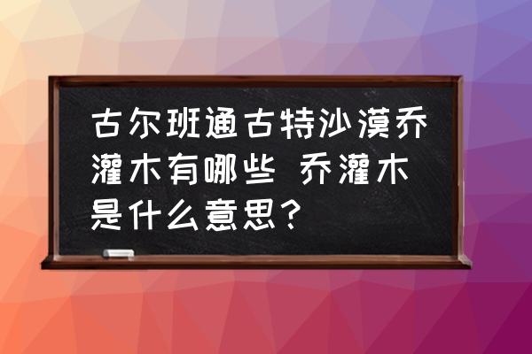 古爾班通古特沙漠喬灌木有哪些 喬灌木是什么意思？