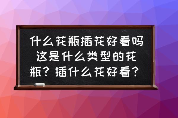 什么花瓶插花好看嗎 這是什么類型的花瓶？插什么花好看？