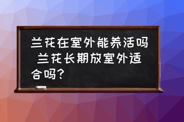 蘭花在室外能養(yǎng)活嗎 蘭花長期放室外適合嗎？