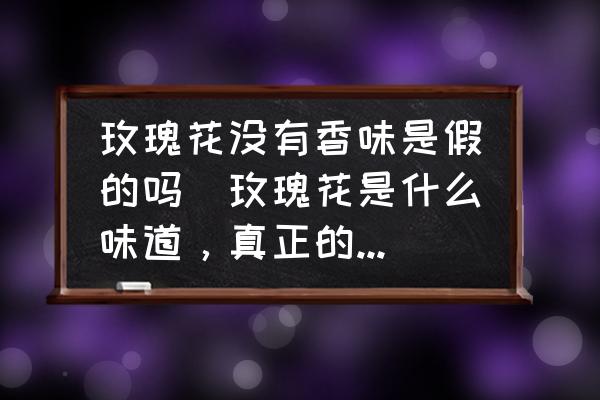 玫瑰花沒有香味是假的嗎(玫瑰花是什么味道，真正的玫瑰花有香味嗎？)