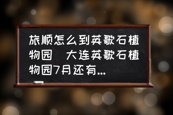 旅順怎么到英歌石植物園(大連英歌石植物園7月還有花嗎？)