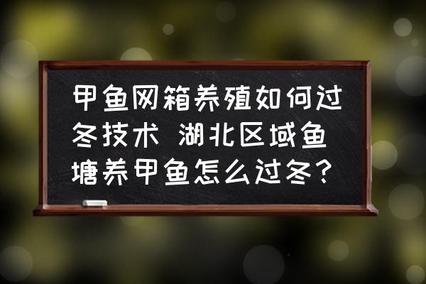 甲魚網(wǎng)箱養(yǎng)殖如何過冬技術(shù) 湖北區(qū)域魚塘養(yǎng)甲魚怎么過冬？