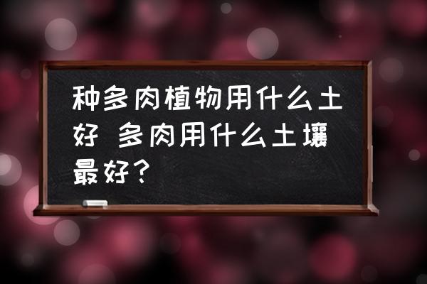 種多肉植物用什么土好 多肉用什么土壤最好？