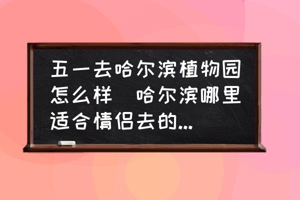 五一去哈爾濱植物園怎么樣(哈爾濱哪里適合情侶去的地方？)
