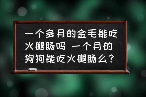 一個多月的金毛能吃火腿腸嗎 一個月的狗狗能吃火腿腸么？