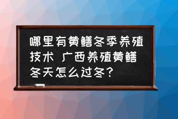 哪里有黃鱔冬季養(yǎng)殖技術(shù) 廣西養(yǎng)殖黃鱔冬天怎么過(guò)冬？