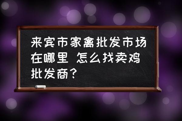 來賓市家禽批發(fā)市場在哪里 怎么找賣雞批發(fā)商？