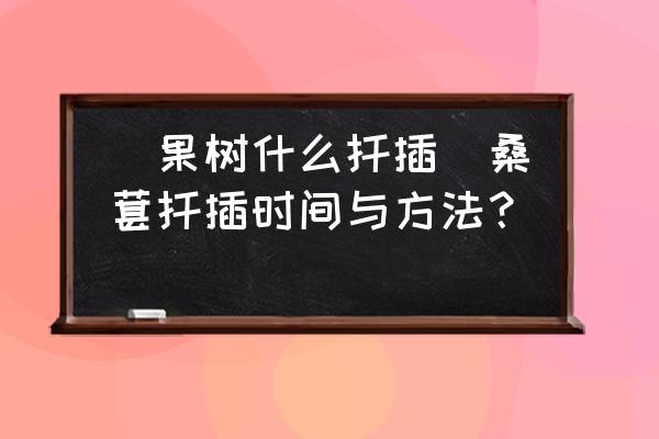 槡果樹什么扦插(桑葚扦插時間與方法？)