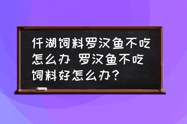 仟湖飼料羅漢魚(yú)不吃怎么辦 羅漢魚(yú)不吃飼料好怎么辦？