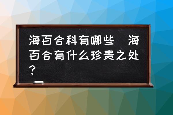海百合科有哪些(海百合有什么珍貴之處？)