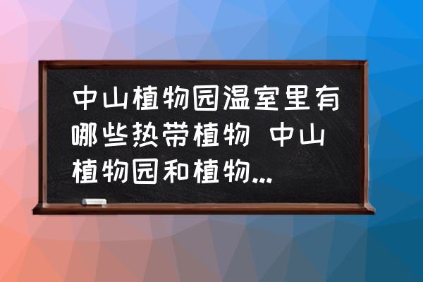中山植物園溫室里有哪些熱帶植物 中山植物園和植物博覽園有什么區(qū)別？
