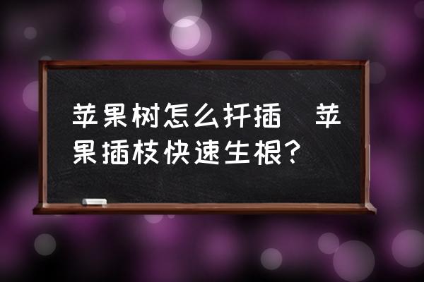 蘋果樹怎么扦插(蘋果插枝快速生根？)