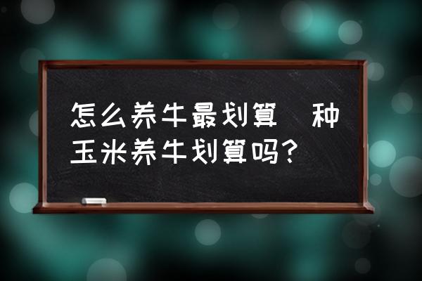 怎么養(yǎng)牛最劃算(種玉米養(yǎng)牛劃算嗎？)