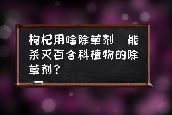 枸杞用啥除草劑(能殺滅百合科植物的除草劑？)
