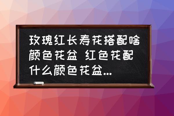 玫瑰紅長壽花搭配啥顏色花盆 紅色花配什么顏色花盆最好看？