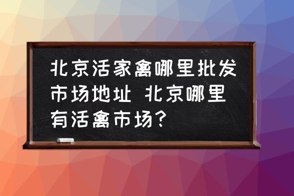北京活家禽哪里批發(fā)市場地址 北京哪里有活禽市場？