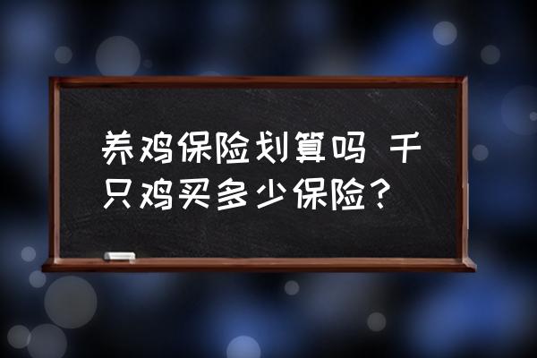 養(yǎng)雞保險(xiǎn)劃算嗎 千只雞買多少保險(xiǎn)？