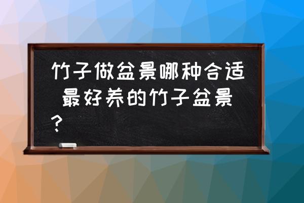竹子做盆景哪種合適 最好養(yǎng)的竹子盆景？