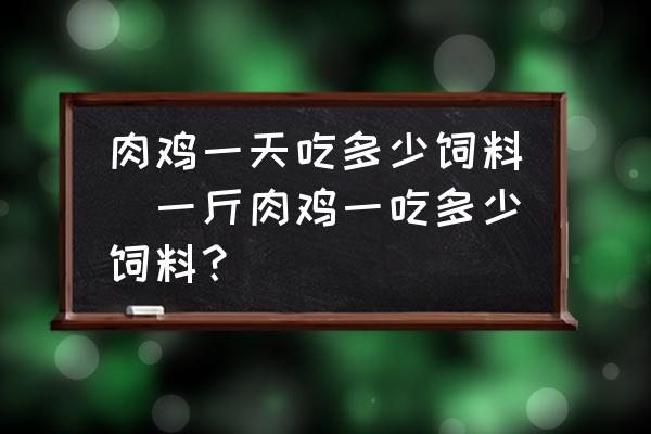 肉雞一天吃多少飼料(一斤肉雞一吃多少飼料？)