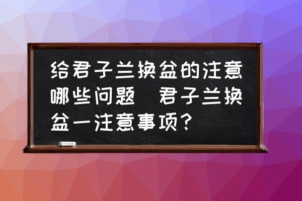 給君子蘭換盆的注意哪些問題(君子蘭換盆一注意事項？)