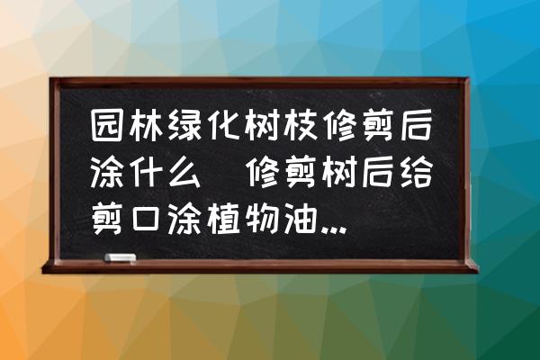 園林綠化樹枝修剪后涂什么(修剪樹后給剪口涂植物油有什么用處？)