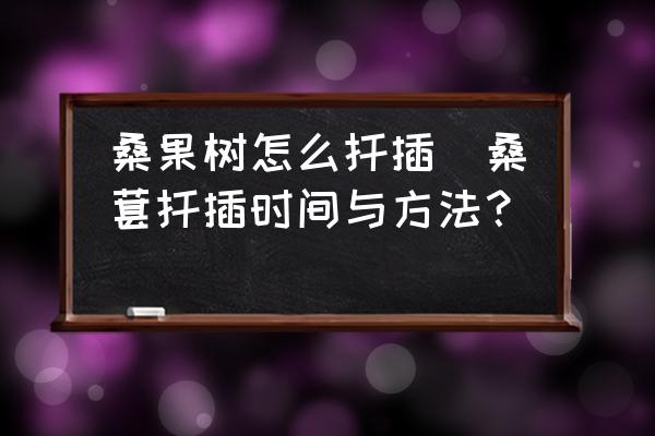 桑果樹怎么扦插(桑葚扦插時(shí)間與方法？)